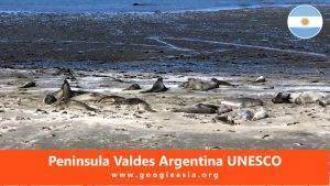 Peninsula Valdes Argentina UNESCO World Heritage Site