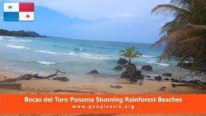 Bocas del Toro Panama Stunning Rainforest Beaches