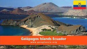 Galápagos Islands Ecuador