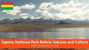 Sajama National Park Bolivia Volcano and Culture