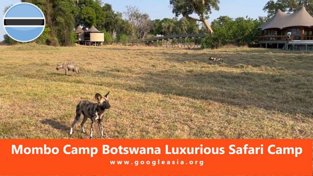 Mombo Camp Botswana Luxurious Safari Camp